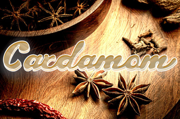 Cardamom Font for Elegant Editorial Design