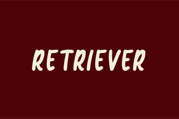 Retriever: A Playful Handwritten Font for Modern Web Design
