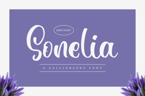 Testing Sonelia: A Script Font for Elegant Web Design